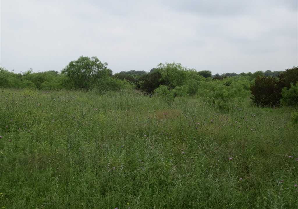 photo 2: TBD Speegle Road, Woodway TX 76712