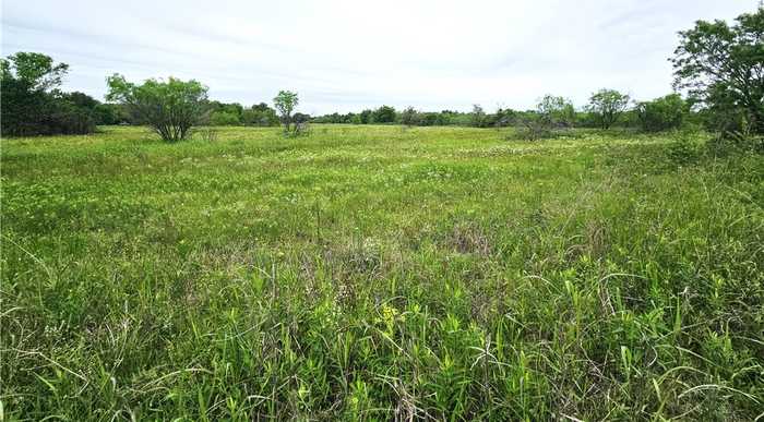 photo 4: 7.25 Acres FM 147, Thornton TX 76687