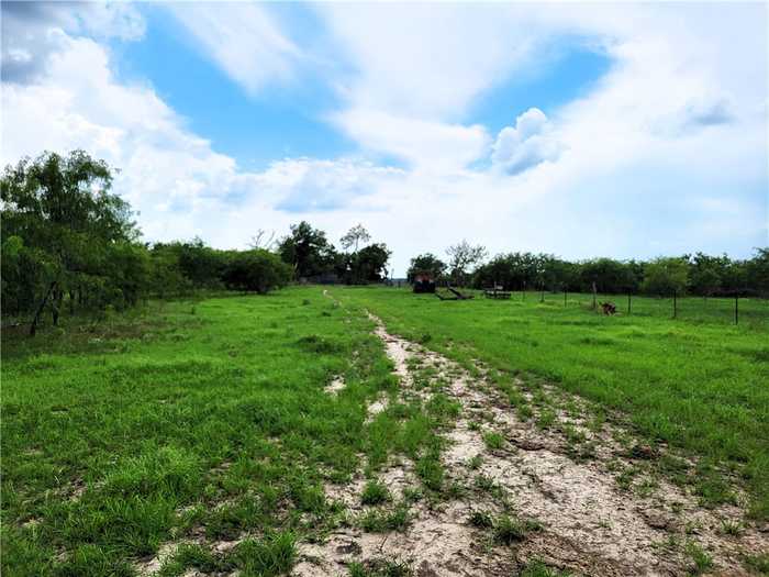 photo 1: 46 Acres FM 339 S, Groesbeck TX 76642