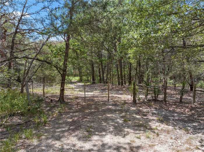 photo 2: 1455 Lcr 374 Road, Groesbeck TX 76642