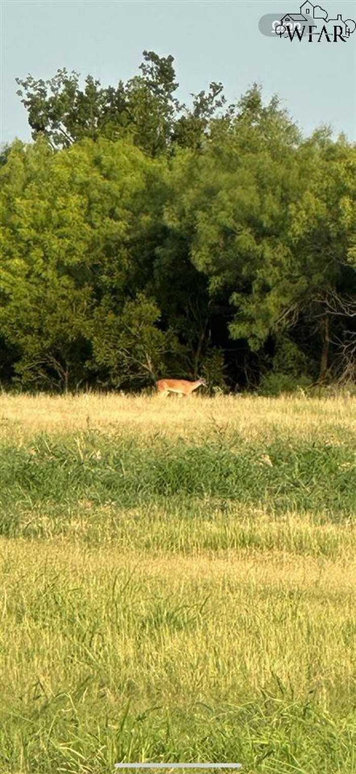 photo 4: 0 HORSESHOE LAKE ROAD, Iowa Park TX 76367